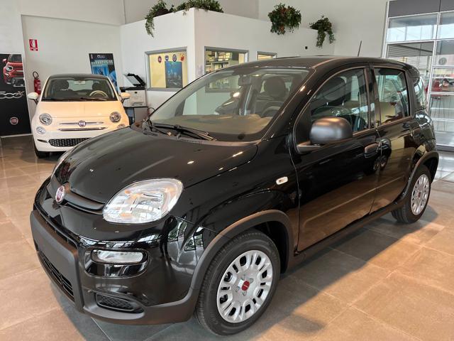 FIAT Panda 1.0 Hybrid CON ADAS/ VARI COLORI/ PRONTA CONSEGNA Immagine 2