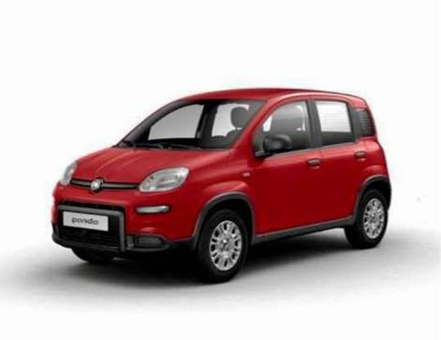 FIAT Panda 1.0 Hybrid CON ADAS/ VARI COLORI/ PRONTA CONSEGNA Immagine 4