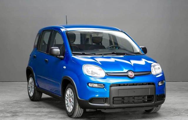 FIAT Panda 1.0 Hybrid CON ADAS/ VARI COLORI/ PRONTA CONSEGNA Immagine 3