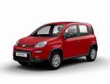 FIAT Panda 1.0 Hybrid CON ADAS/ VARI COLORI/ PRONTA CONSEGNA