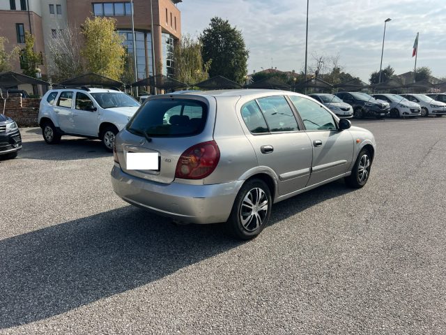 NISSAN Almera 1.5 dCi cat 5 porte Acenta Plus OK PER  NEOPATENT Immagine 3