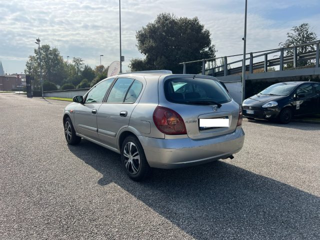 NISSAN Almera 1.5 dCi cat 5 porte Acenta Plus OK PER  NEOPATENT Immagine 4