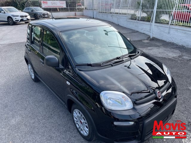 FIAT Panda 1.0 FireFly S&S Hybrid Immagine 2