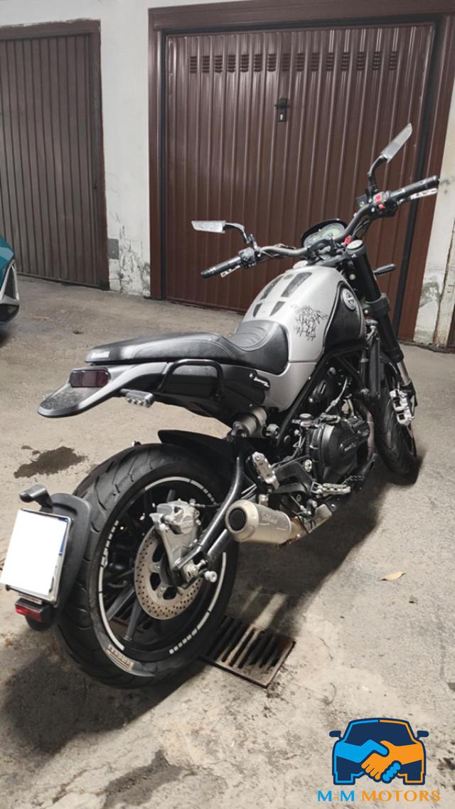 BENELLI Leoncino 500 Leoncino 500 Immagine 3