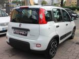 FIAT Panda Hybrid ?PREZZO REALE? UNIPRO IVA DEDUCIBILE