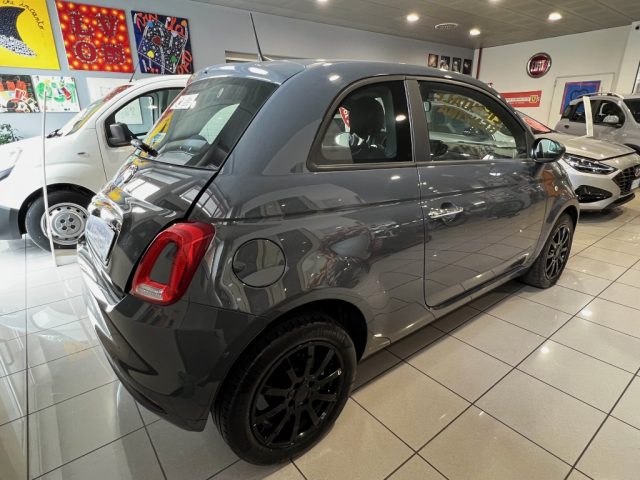 FIAT 500 1.0 Hybrid Cult 70 CV Immagine 2