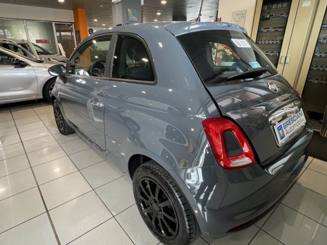 FIAT 500 1.0 Hybrid Cult 70 CV Immagine 3