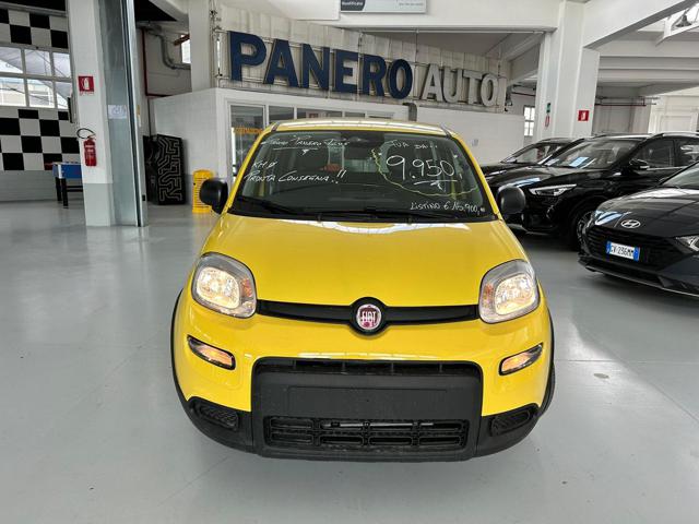 FIAT Panda 1.0 FireFly S&S Hybrid con promo "PANERO PLUS" Immagine 1