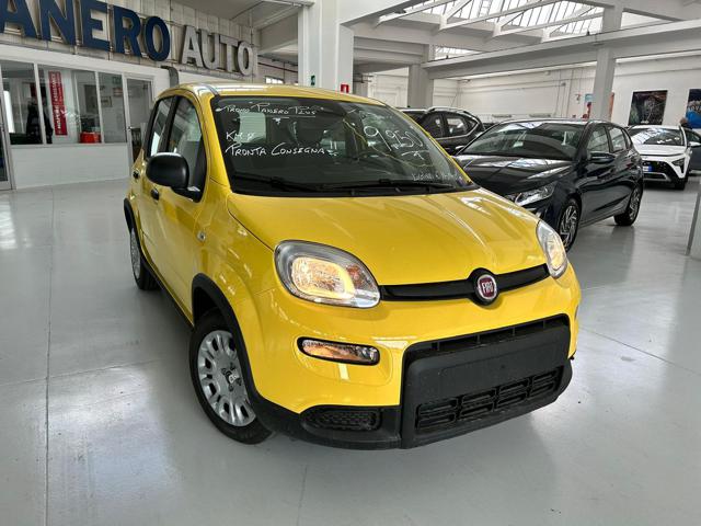 FIAT Panda 1.0 FireFly S&S Hybrid con promo "PANERO PLUS" Immagine 0