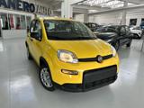 FIAT Panda 1.0 FireFly S&S Hybrid con promo 