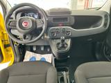 FIAT Panda 1.0 FireFly S&S Hybrid con promo "PANERO PLUS"