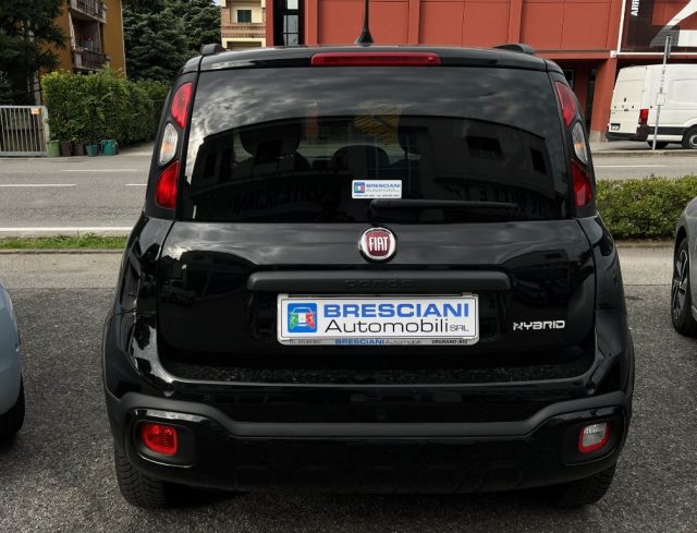 FIAT Panda 1.0 FireFly S&S Hybrid City Cross Immagine 3