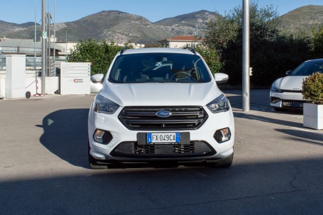 FORD Kuga 2.0 TDCI 120 CV S&S 2WD Powershift ST-Line Immagine 1