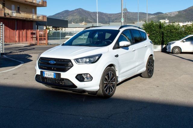 FORD Kuga 2.0 TDCI 120 CV S&S 2WD Powershift ST-Line Immagine 2