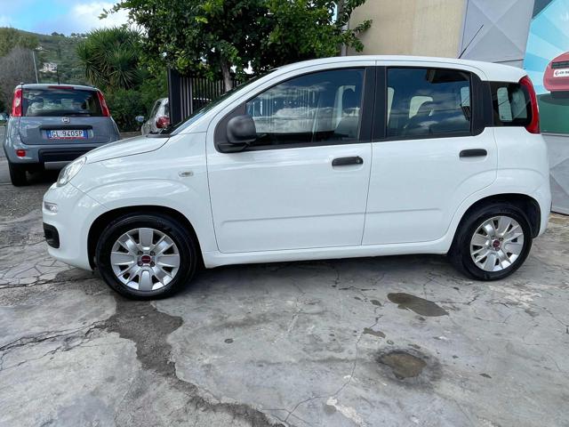 FIAT Panda 1.3 MJT 95 CV S&S Easy Immagine 3