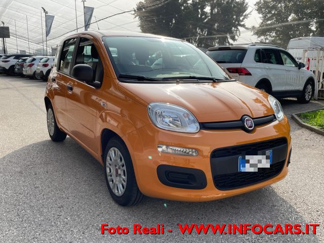 FIAT Panda 1.0 FireFly S&S Hybrid NEOPATENTATI Immagine 0