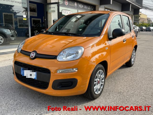 FIAT Panda 1.0 FireFly S&S Hybrid NEOPATENTATI Immagine 2