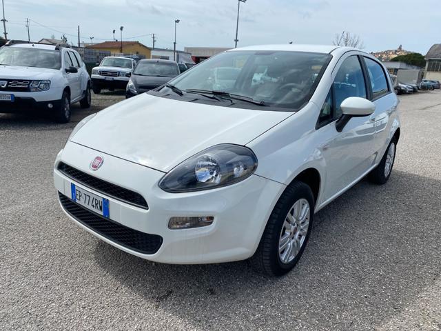 FIAT Punto 1.4 8V 5 porte Natural Power Pop NEOPATENTATI Immagine 0