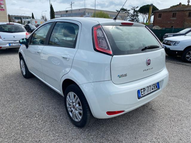 FIAT Punto 1.4 8V 5 porte Natural Power Pop NEOPATENTATI Immagine 3