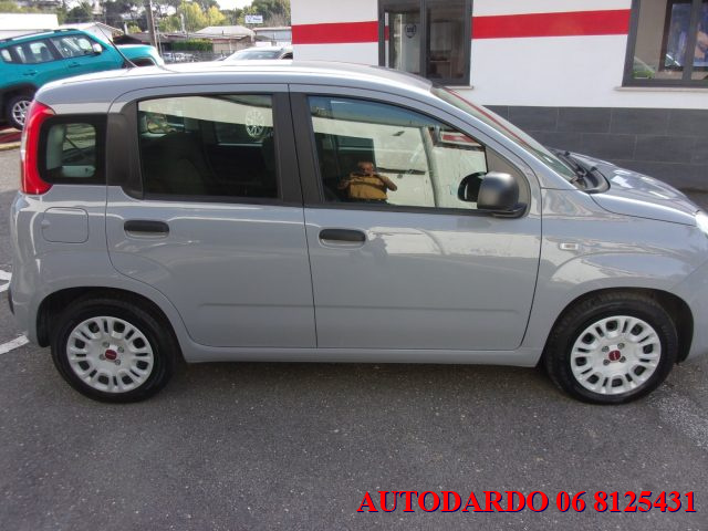 FIAT Panda 1.0 FireFly S&S Hybrid Immagine 3