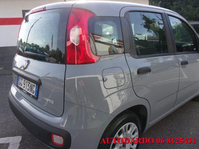 FIAT Panda 1.0 FireFly S&S Hybrid Immagine 4