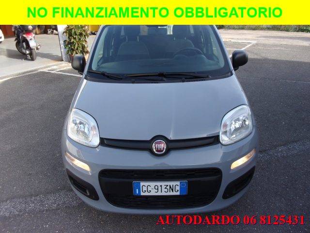 FIAT Panda 1.0 FireFly S&S Hybrid Immagine 2