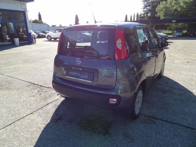 FIAT Panda 1.2 EasyPower Easy Immagine 4