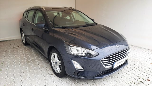 FORD Focus 1.5 EcoBlue 120 CV SW Business Immagine 2