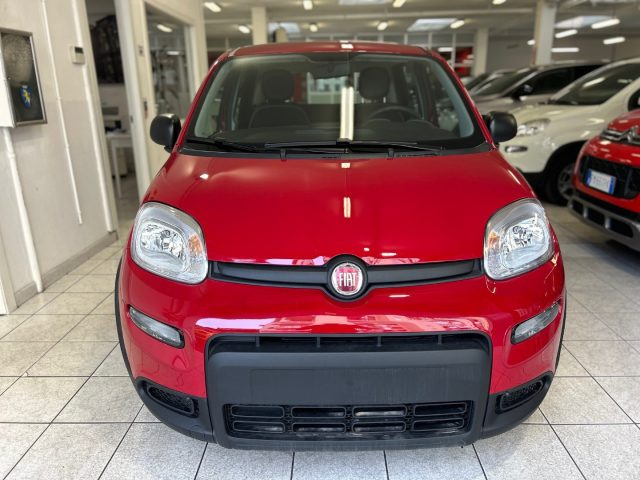 FIAT Panda 1.0 FireFly S&S Hybrid Immagine 1