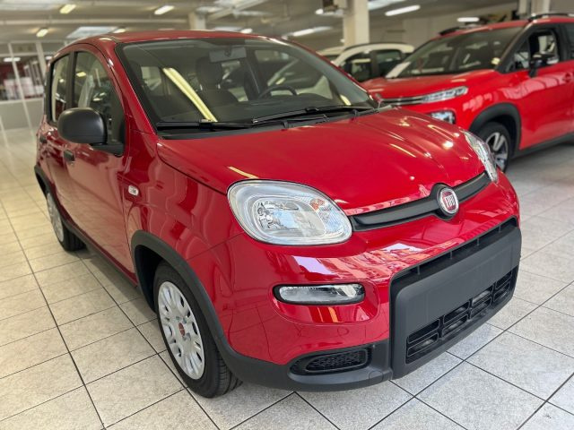 FIAT Panda 1.0 FireFly S&S Hybrid Immagine 2