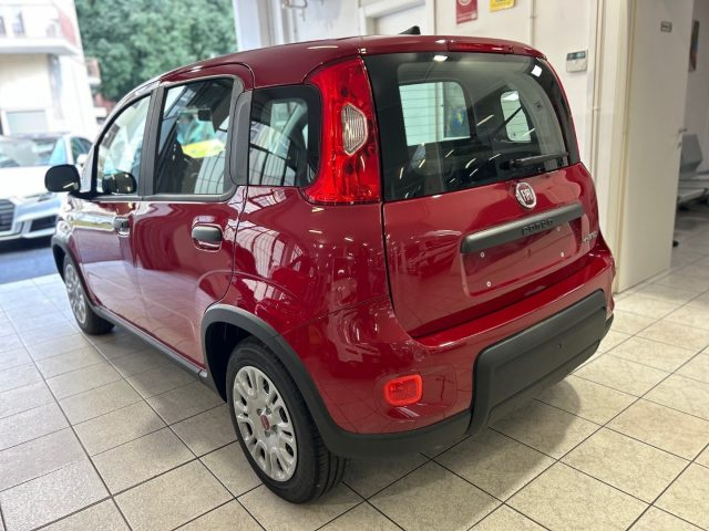 FIAT Panda 1.0 FireFly S&S Hybrid Immagine 3