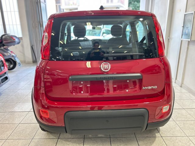 FIAT Panda 1.0 FireFly S&S Hybrid Immagine 4