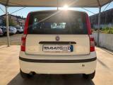 FIAT Panda 1.2 MyLife OK NEOPATENTATI EURO 5