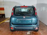 FIAT Panda Cross 1.0 Hybrid 70cv Cross+Clima Auto 36 Rate da 177,95