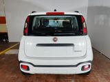 FIAT Panda Cross 1.0 Hybrid 70cv Cross+Clima Auto 36 Rate da 177,95