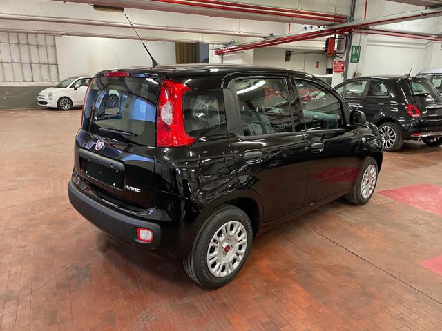 FIAT Panda 1.0 Hybrid 70cv 36 Rate da 177,95 Immagine 2