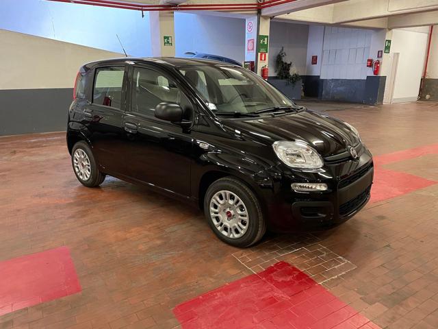 FIAT Panda 1.0 Hybrid 70cv 36 Rate da 177,95 Immagine 1