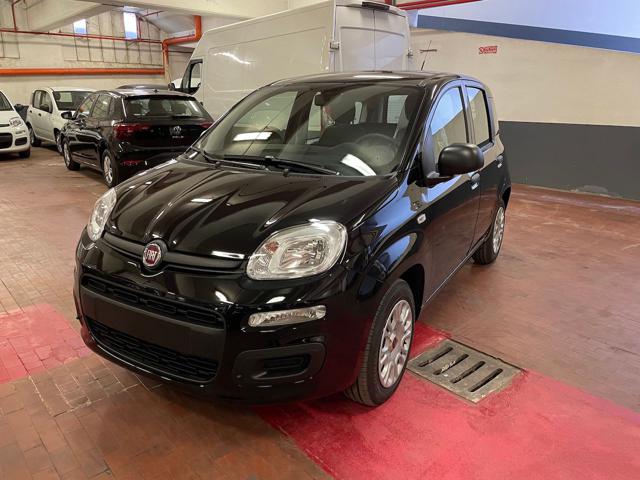 FIAT Panda 1.0 Hybrid 70cv 36 Rate da 177,95 Immagine 0