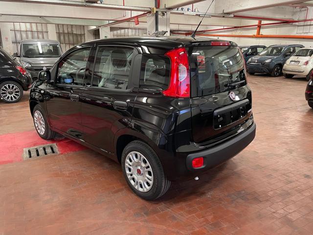 FIAT Panda 1.0 Hybrid 70cv 36 Rate da 177,95 Immagine 3