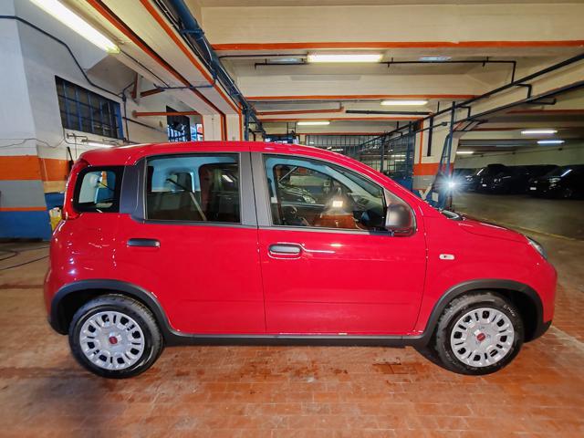 FIAT Panda 1.0 Hybrid 70cv 36 Rate da 177,95 Immagine 3