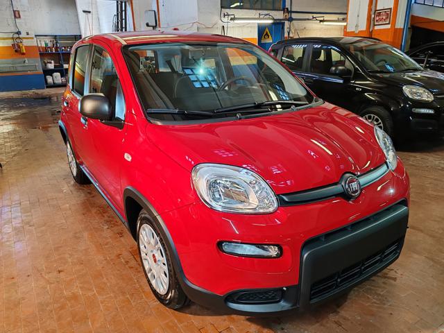 FIAT Panda 1.0 Hybrid 70cv 36 Rate da 177,95 Immagine 2