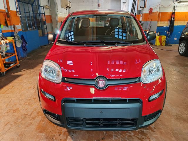 FIAT Panda 1.0 Hybrid 70cv 36 Rate da 177,95 Immagine 1