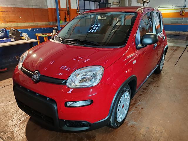 FIAT Panda 1.0 Hybrid 70cv 36 Rate da 177,95 Immagine 0