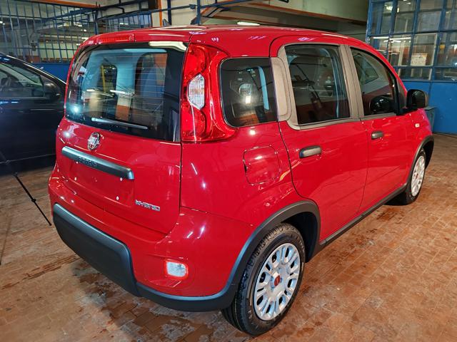 FIAT Panda 1.0 Hybrid 70cv 36 Rate da 177,95 Immagine 4