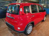 FIAT Panda 1.0 Hybrid 70cv 36 Rate da 177,95