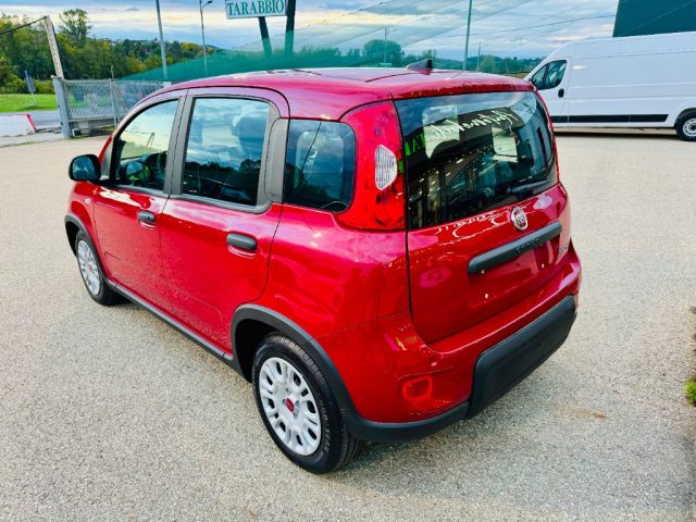 FIAT New Panda 1.0 HYBRID *5 POSTI-SENSORI-RADIO-BLUETOOTH* Immagine 4