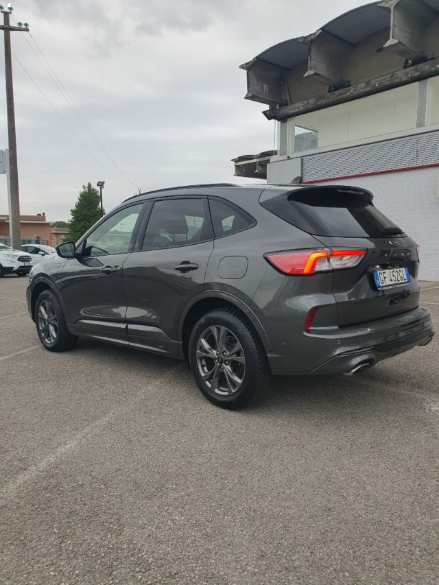 FORD Kuga 2.5 Plug In Hybrid 225 CV CVT 2WD ST-Line X Immagine 2