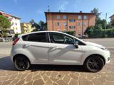 FORD Fiesta black and white