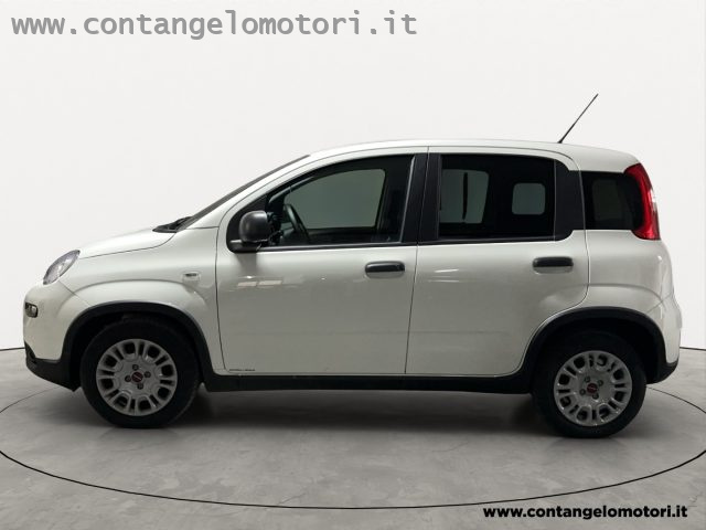 FIAT Panda 1.0 S&S Hybrid Van 2 posti Immagine 1