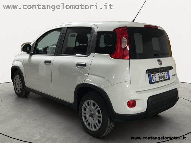 FIAT Panda 1.0 S&S Hybrid Van 2 posti Immagine 2